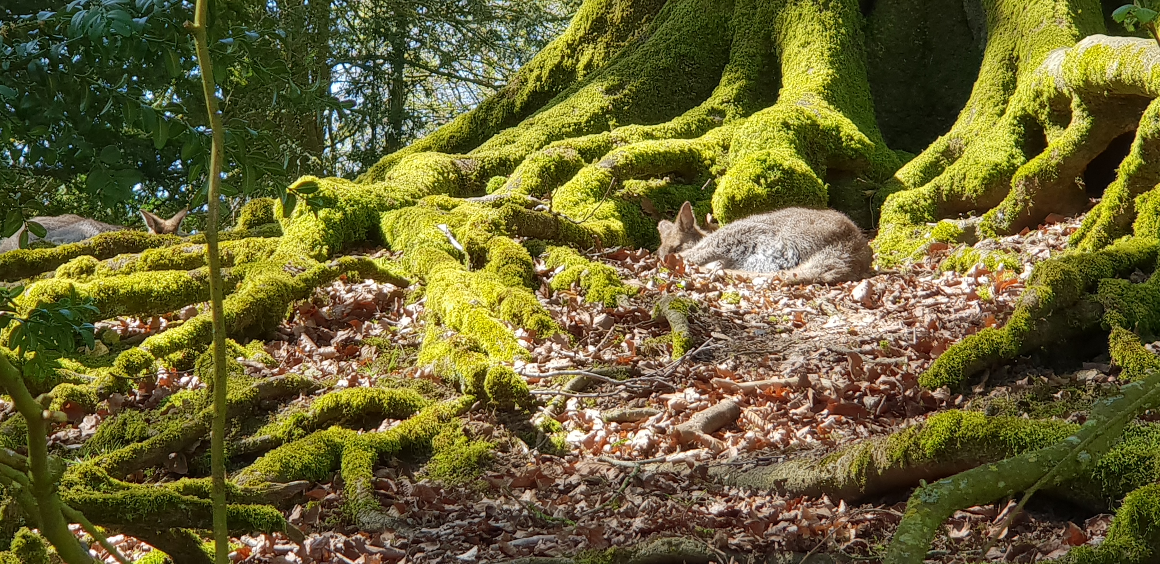 Photo n° 21 de l'avis de Dominique.A fait le 18/04/2018 à 14:35