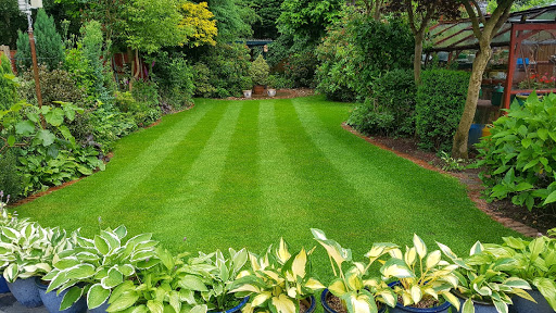 Installation of artificial grass Coventry