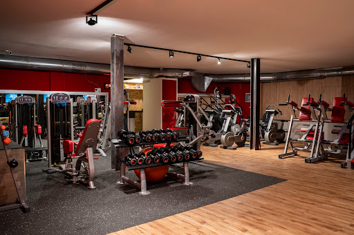 PPT GYM EXPERIENCE | PALESTRA