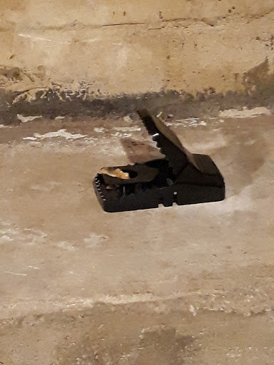 Insulation Contractor «Attic Pros INC», reviews and photos