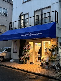 SEA DROP Roast Coffee