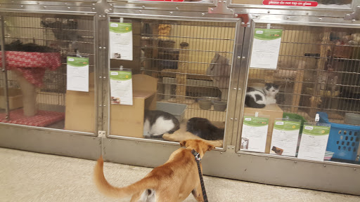 Pet Supply Store «PetSmart», reviews and photos, 4101 Oakwood Blvd, Hollywood, FL 33020, USA