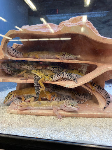 Pet Supply Store «Petco Animal Supplies», reviews and photos, 12765 Harper Village Dr #140, Battle Creek, MI 49014, USA