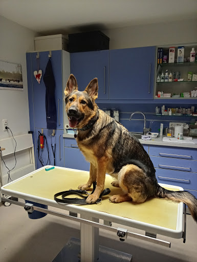 Tierärztliche Gemeinschaftpraxis Dr. Ina Boßler-Keil und Jens Boßler unter Grünberg, 