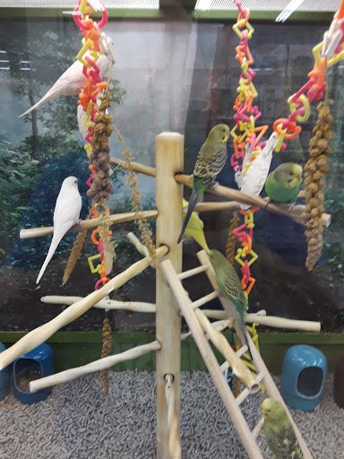 Pet Supply Store «Petco Animal Supplies», reviews and photos, 7223 Coastal Blvd, Brooksville, FL 34613, USA