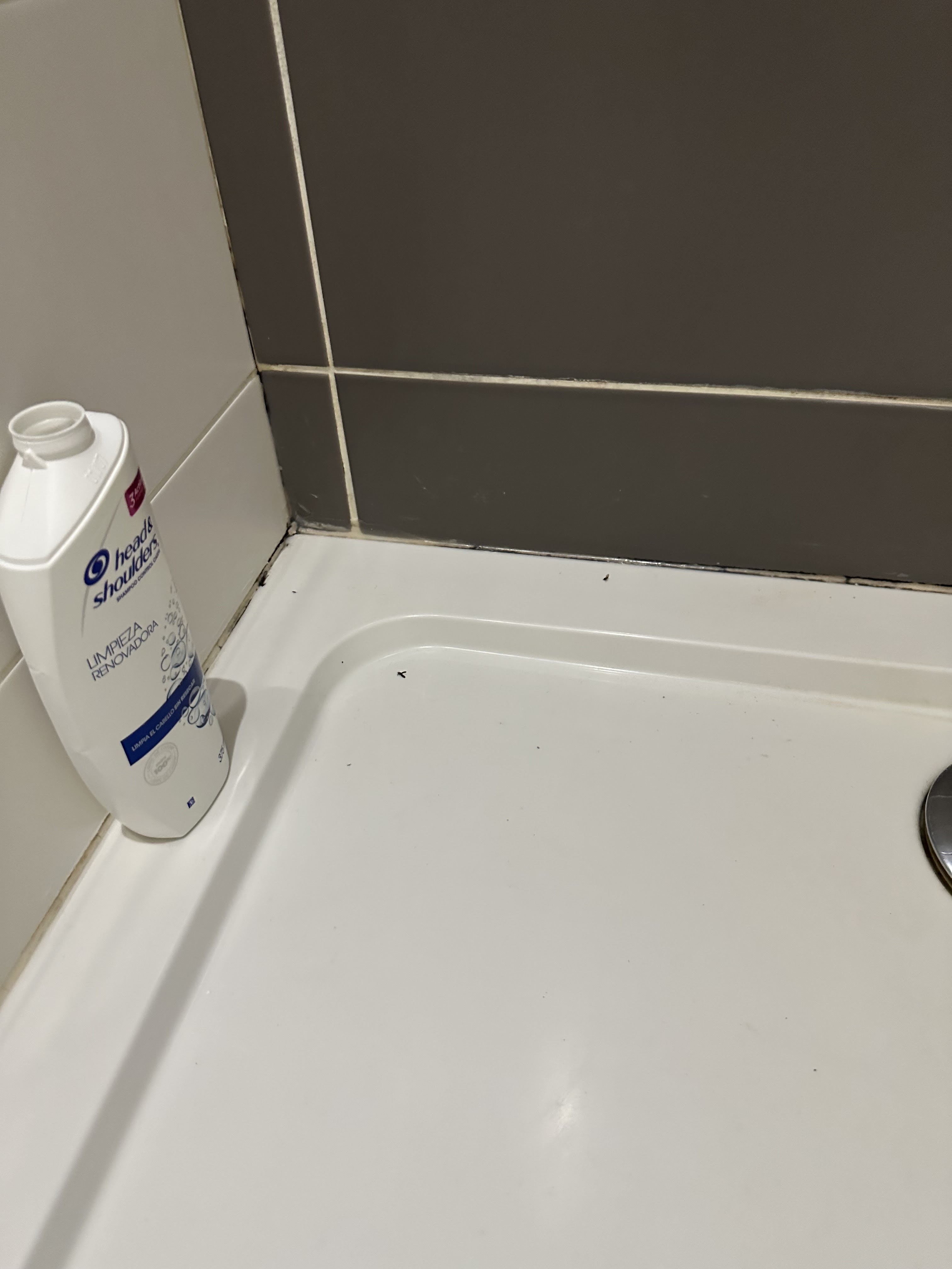 Photo n° 1 de l'avis de Marie.e fait le 15/12/2022 à 11:49