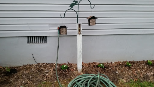 Public Golf Course «Wicomico Shores Golf Course», reviews and photos, 35794 Aviation Yacht Club Rd, Mechanicsville, MD 20659, USA