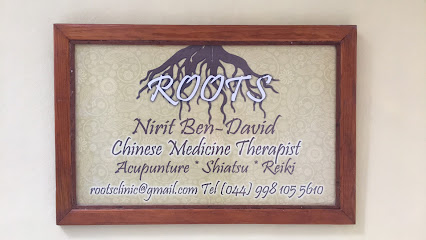Roots Clinic - Massage & Accupunture