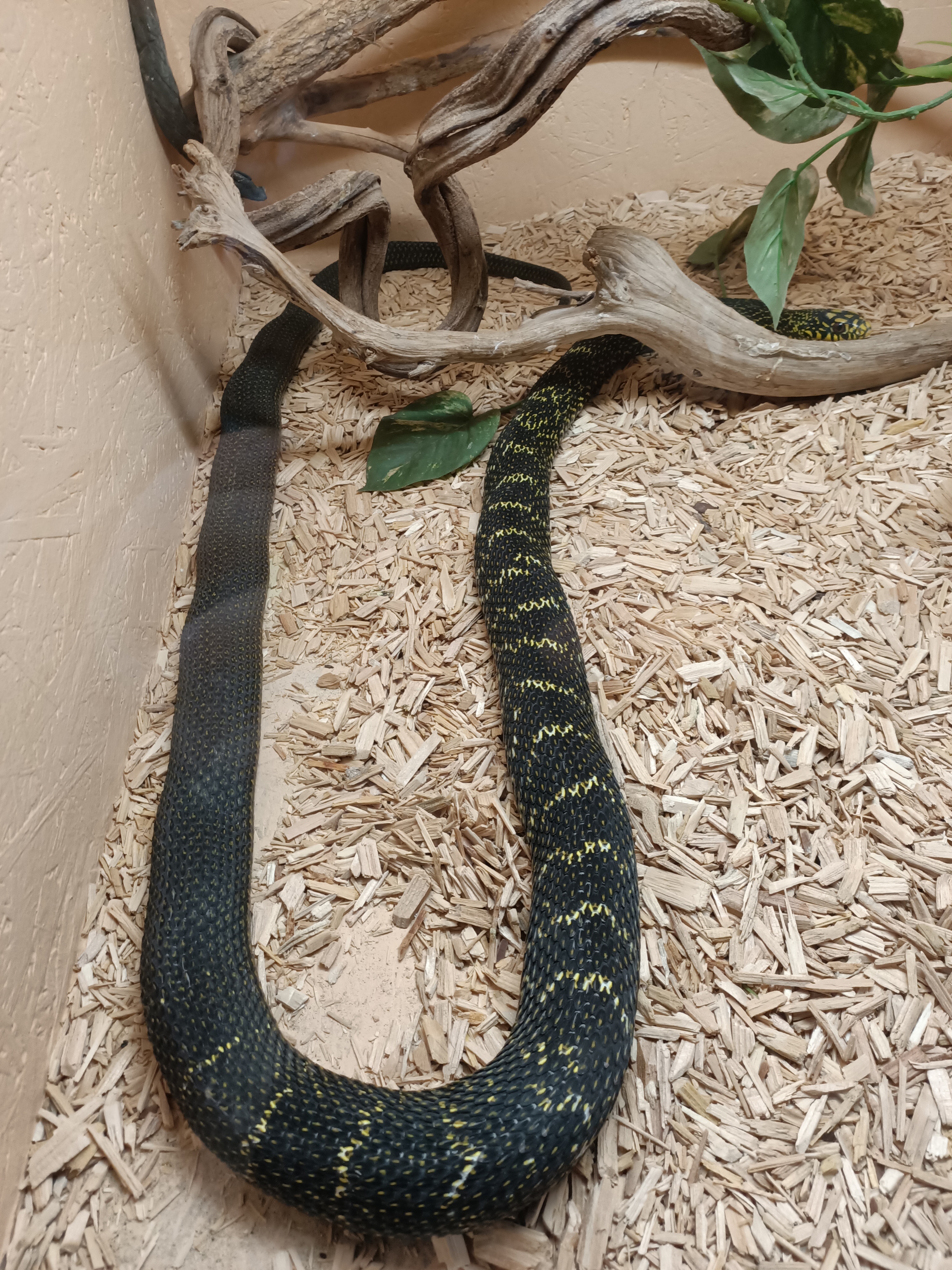 Photo n° 17 de l'avis de Dufau.a fait le 21/02/2024 à 14:51