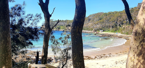 Circuit Beach