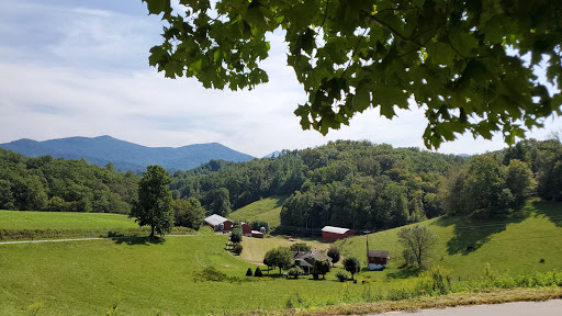 National Forest «Pisgah National Forest», reviews and photos, 1600 Pisgah Highway, Nebo, NC 28761, USA