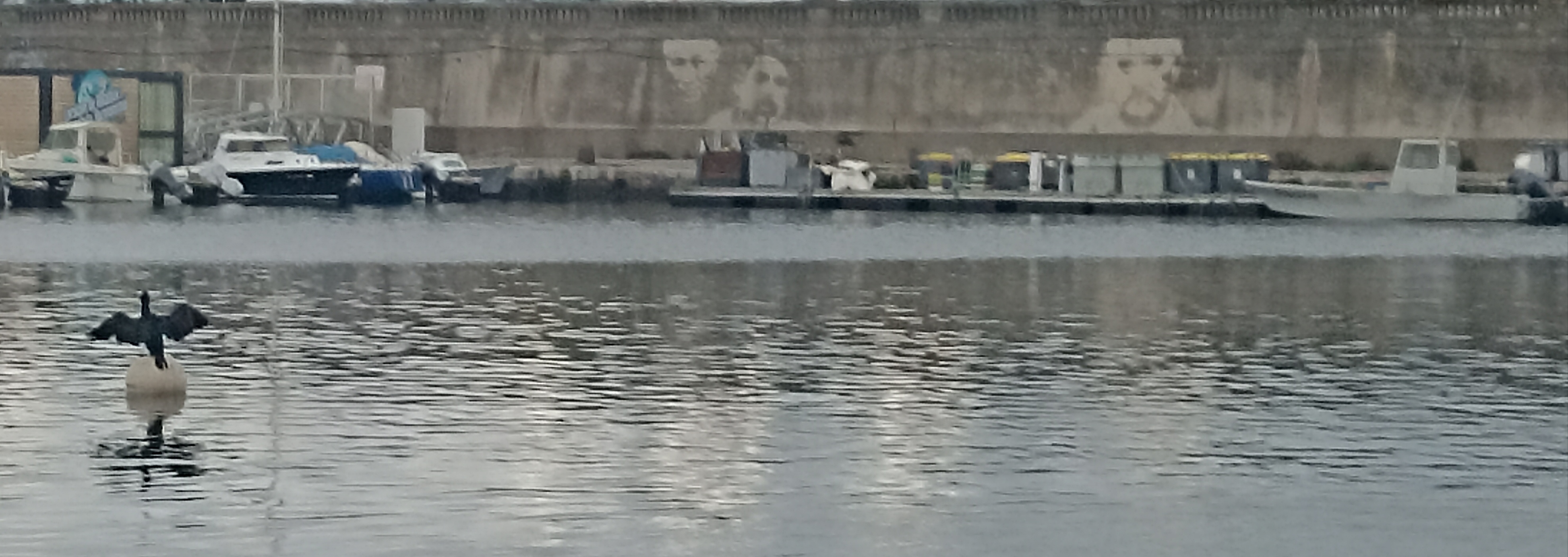 Photo n° 43 de l'avis de Laurence.a fait le 28/12/2023 à 17:41