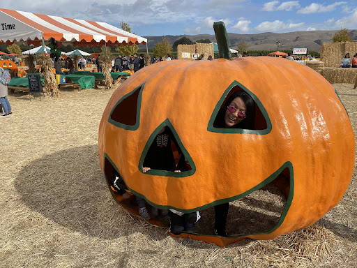 Pumpkin Patch «Spina Farms», reviews and photos, Santa Teresa Blvd, Morgan Hill, CA 95037, USA