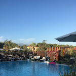 Photo n°2 de l'avis de Simona.h fait le 11/02/2018 à 00:32 sur le  Osteria Sul Mare à Marina di Massa