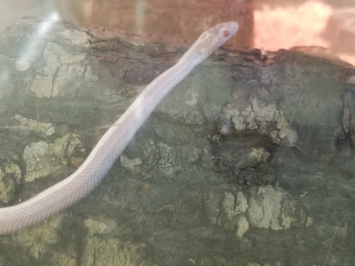 Pet Supply Store «Pet Supplies Plus», reviews and photos, 4922 Portage St NW, North Canton, OH 44720, USA