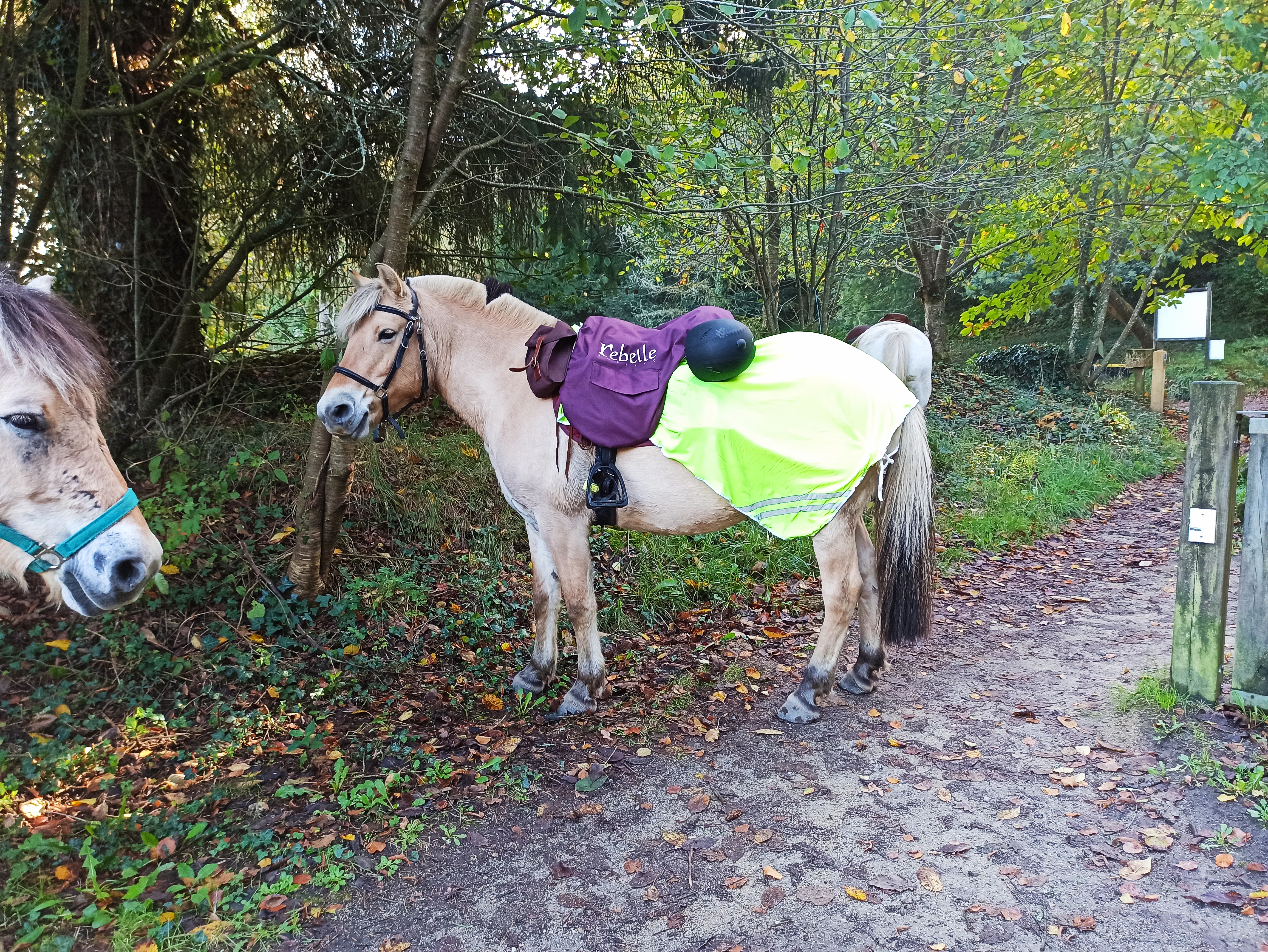 Photo n° 3 de l'avis de Géraldine.i fait le 30/10/2022 à 20:46