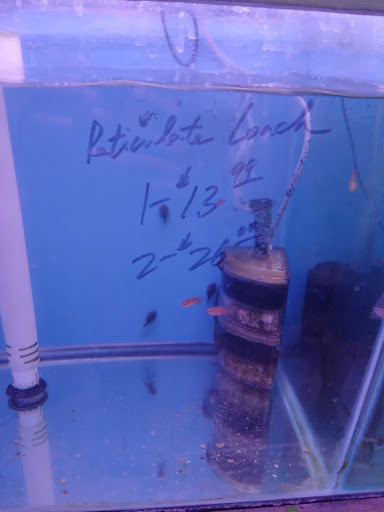 Pet Store «D D Fish & Pets», reviews and photos, 2413 S Fairview St, Santa Ana, CA 92704, USA