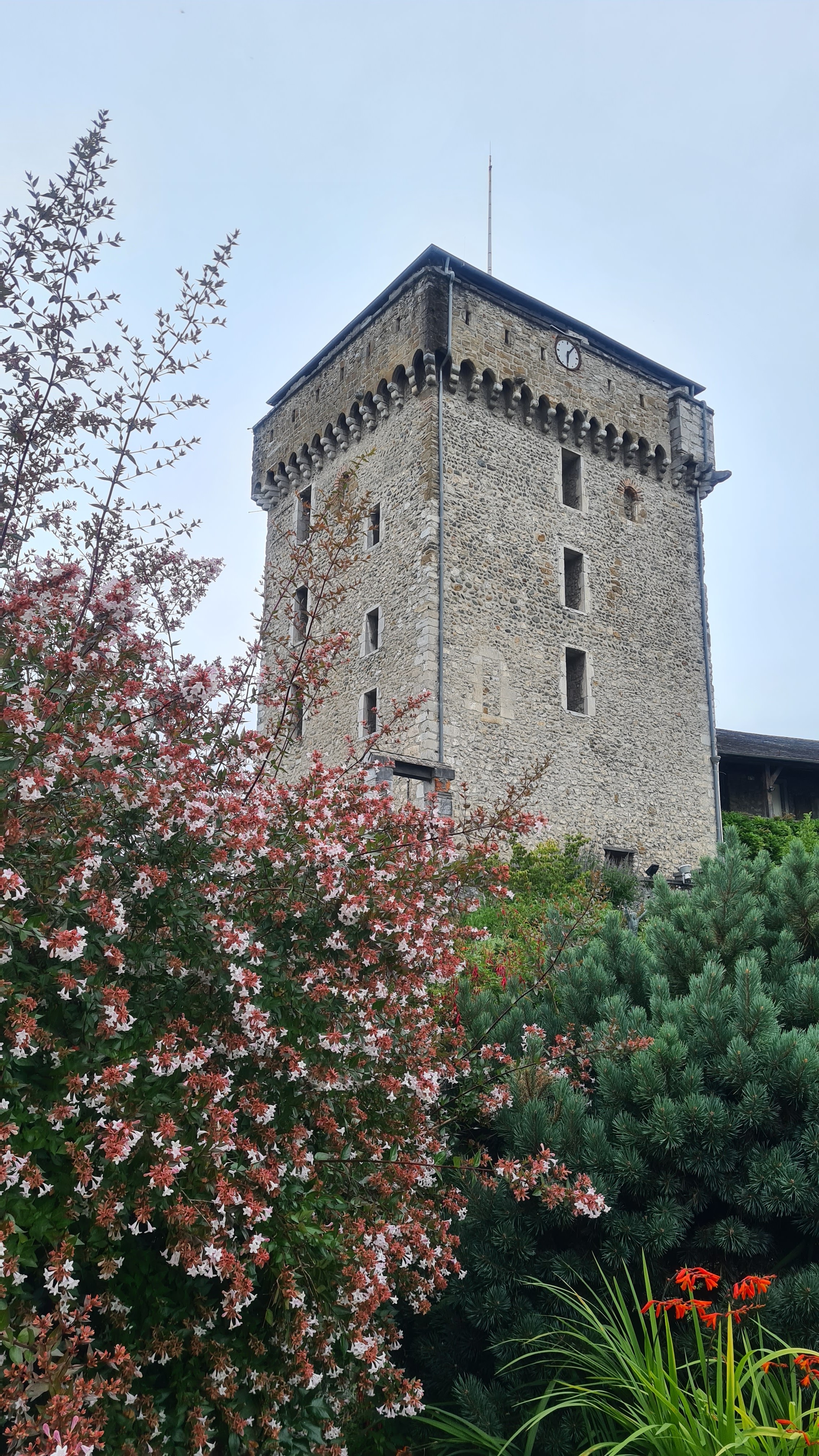 Photo n° 1 de l'avis de Stéphane.h fait le 16/07/2020 à 18:21