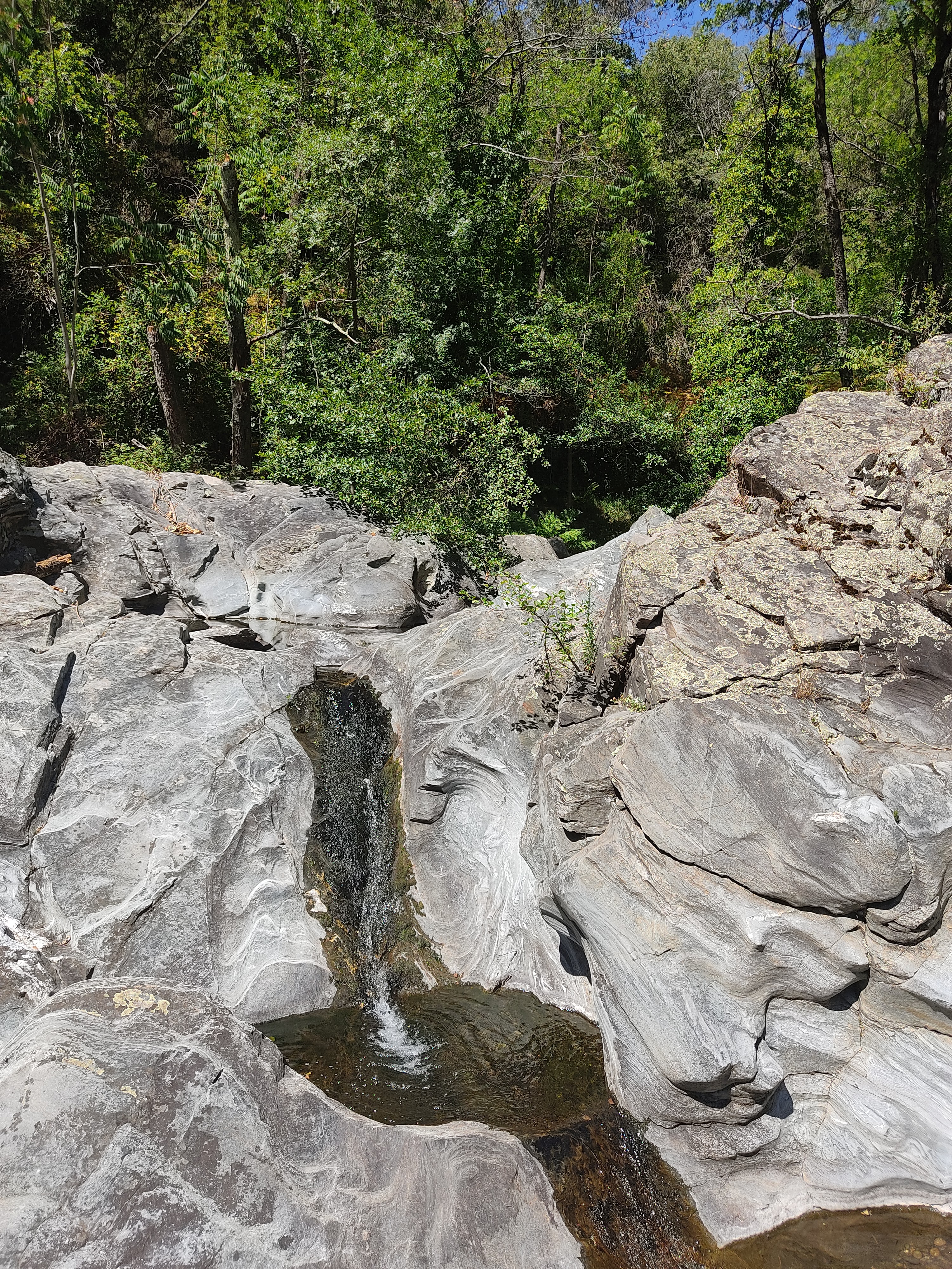 Photo n° 3 de l'avis de Lionel.a fait le 07/08/2022 à 17:55