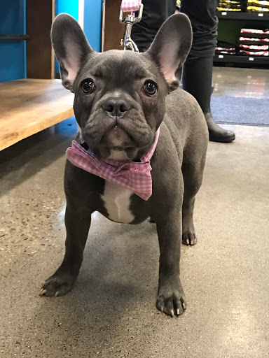 Pet Supply Store «Pet Evolution - Pet Food | Dog Wash | Grooming», reviews and photos, 429 Commerce Dr, Woodbury, MN 55125, USA