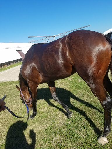 Casino «Delta Downs Racetrack Casino Hotel», reviews and photos, 2717 Delta Downs Dr, Vinton, LA 70668, USA