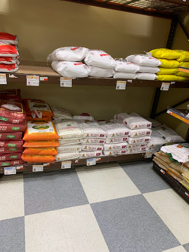 Grocery Store «Lotte Plaza Market - Baltimore», reviews and photos, 6600 Baltimore National Pike, Catonsville, MD 21228, USA