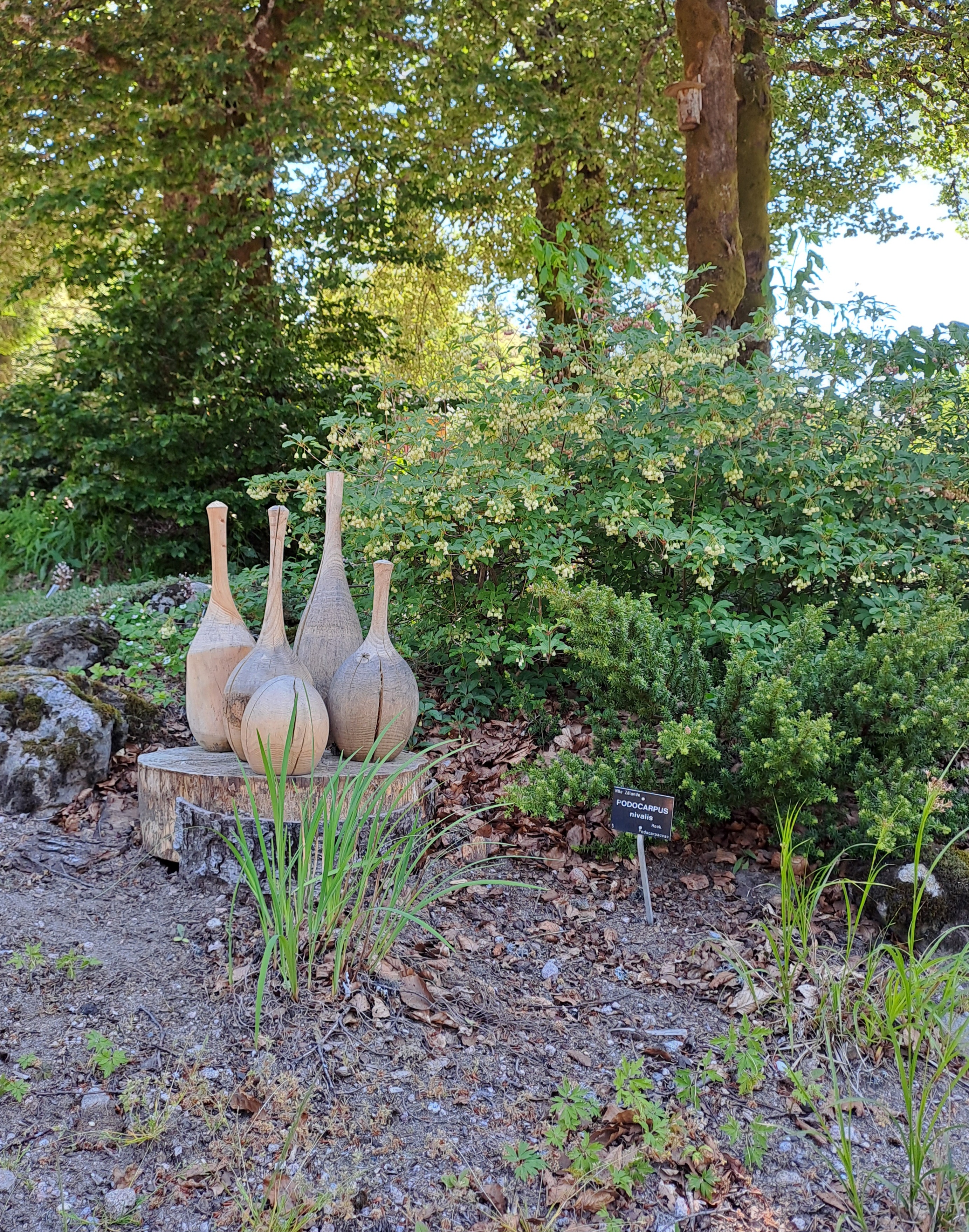 Photo n° 12 de l'avis de RAVIER.A fait le 15/06/2023 à 04:40