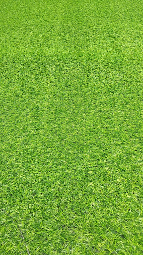 Top 20 cửa hàng bán thảm Thành phố Hội An Quảng Nam 2022