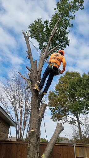 Park «Hoblitzelle Park», reviews and photos, 7500 Red River Dr, Plano, TX 75025, USA