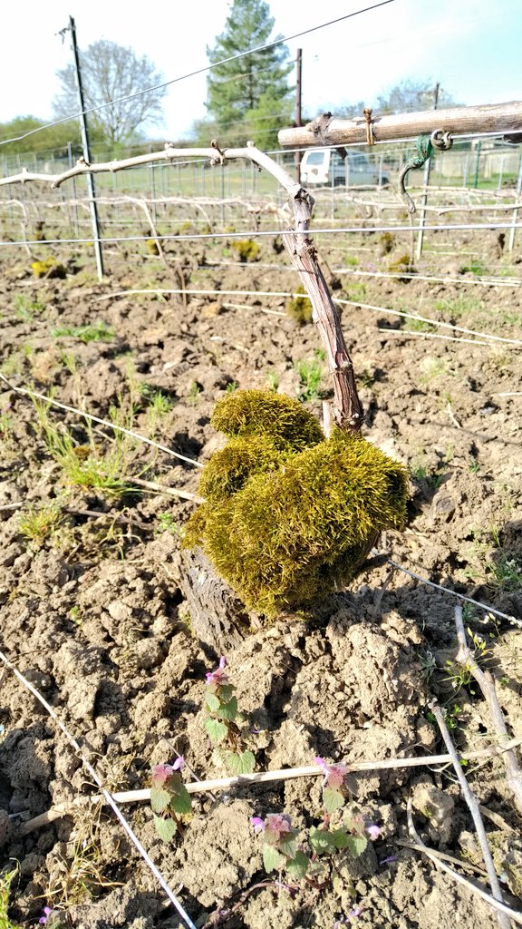 Photo n° 4 de l'avis de Andrew.e fait le 16/04/2018 à 16:07