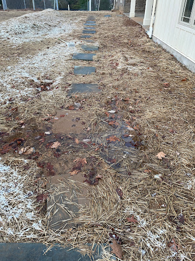 Photo of baroni building