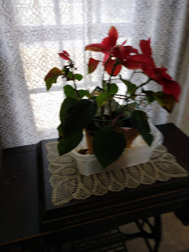 Attraction «Elvis Presley Birthplace», reviews and photos, 306 Elvis Presley Dr, Tupelo, MS 38801, USA