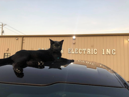 Photo of Panther Electric Inc.