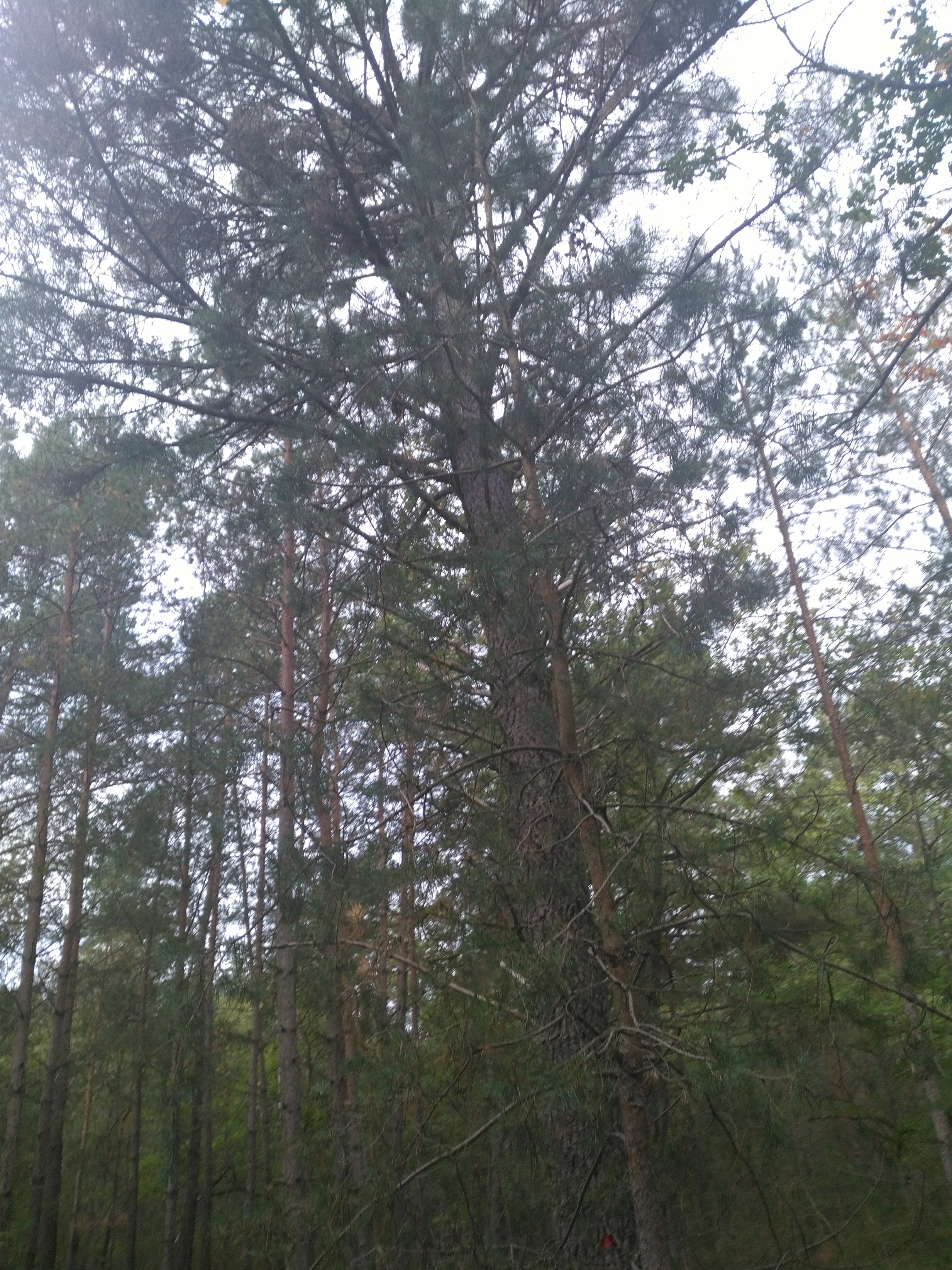 Photo n° 1 de l'avis de Dala.d fait le 14/10/2019 à 05:43