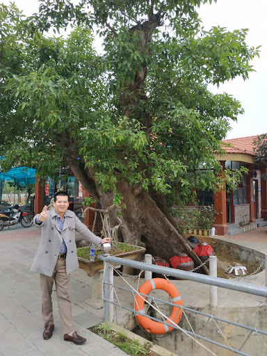 Top 20 cửa hàng ck Huyện Hoa Lư Ninh Bình 2022