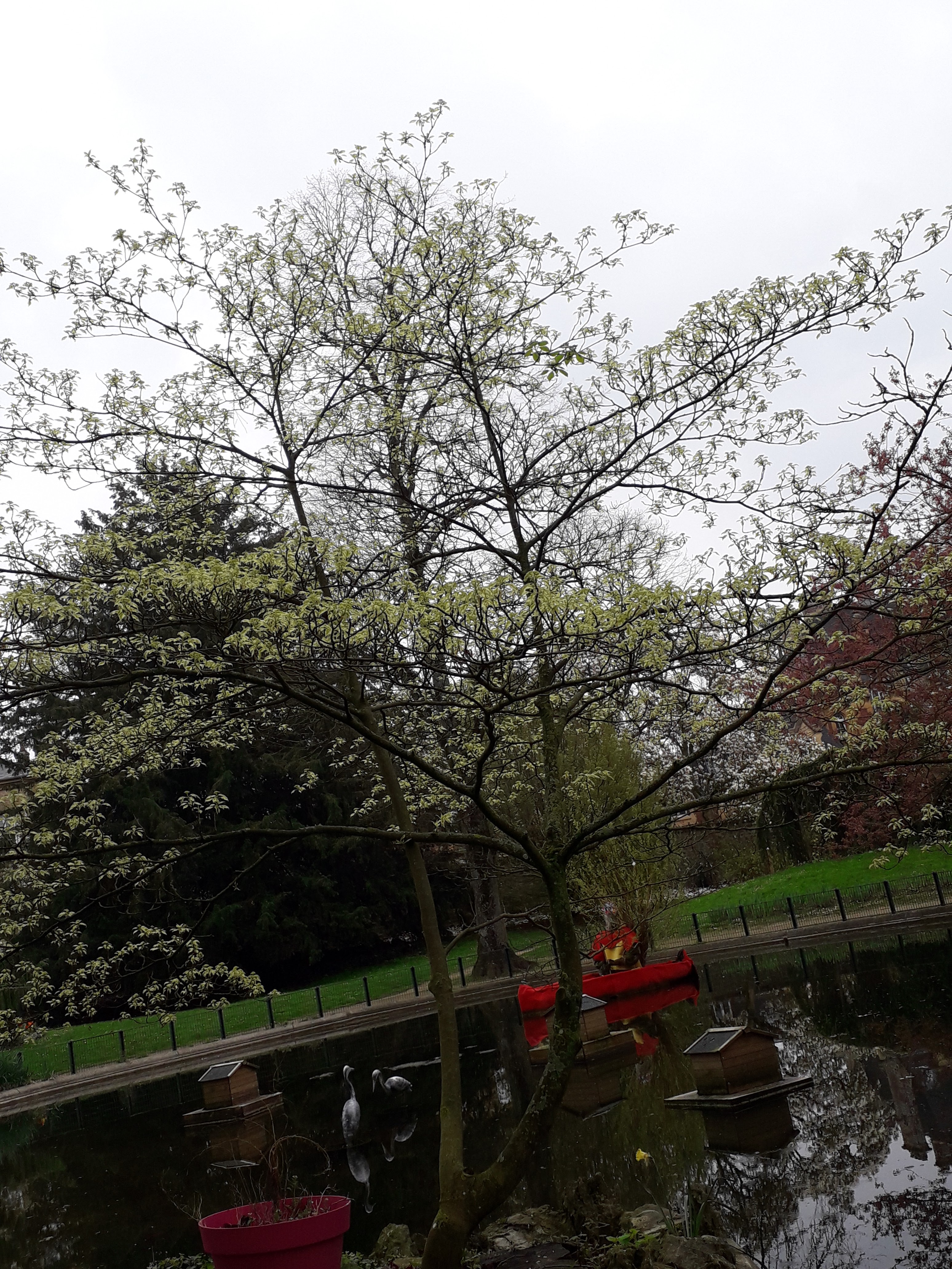 Photo n° 14 de l'avis de Leila.i fait le 09/04/2019 à 15:35