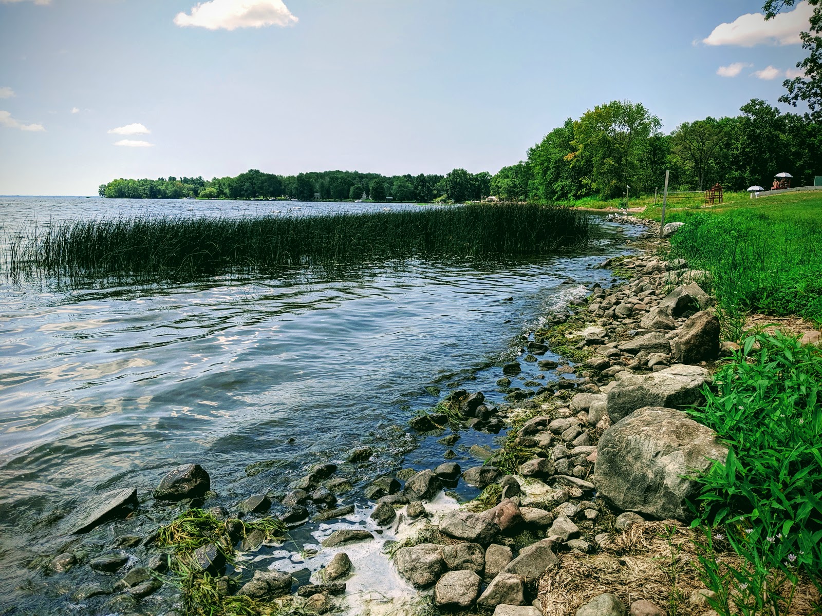 Photo of Taft Bay Park wild area