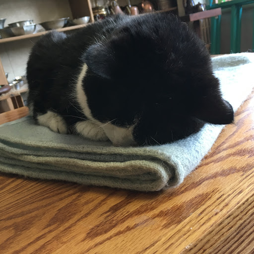 Thrift Store «Practical Goods», reviews and photos, 1759 Selby Ave, St Paul, MN 55104, USA