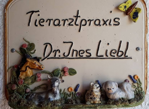 Dr.med.vet. Ines Liebl Tierärztin unter Tann, 