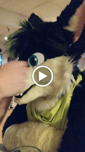 Bowling Alley «Pinz Bowling Center», reviews and photos, 700 N Lafayette St, South Lyon, MI 48178, USA