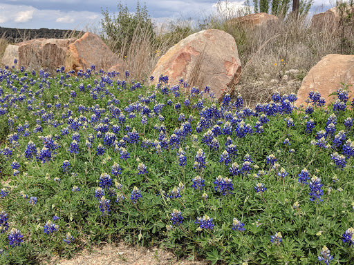 Winery «Arc De Texas», reviews and photos, 4555 US-281, Johnson City, TX 78636, USA