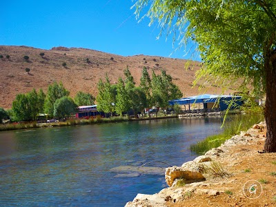 Photos of مطعم البحيرة