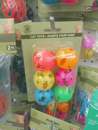 Dollar Store «Dollar Tree», reviews and photos, 5715 W Bell Rd, Glendale, AZ 85308, USA