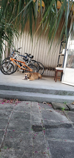 Pet Supply Store «Petco Animal Supplies», reviews and photos, 3520 Veterans Memorial Blvd, Metairie, LA 70002, USA