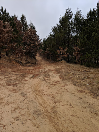Ridge Trail Head