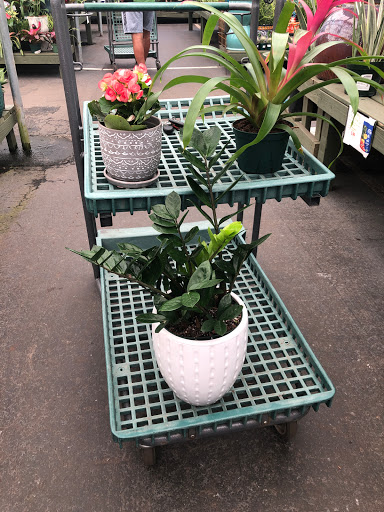 Shopping Mall «Toco Hill Shopping Center», reviews and photos, 2943 N Druid Hills Rd NE, Atlanta, GA 30329, USA