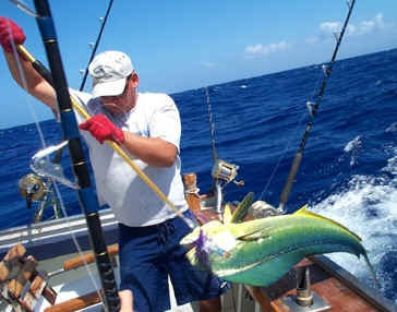 Sportfish Hawaii - Hawaii Fishing Adventures & Charters