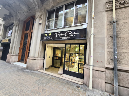 Tot Cat. Clínica Felina en Barcelona