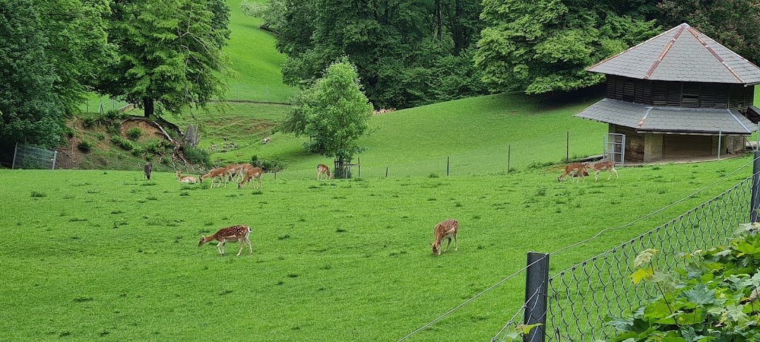 Aarau, İsviçre