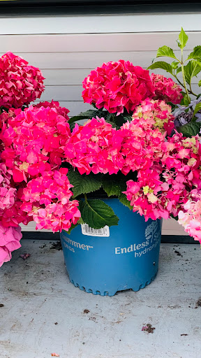 Home Improvement Store «The Home Depot», reviews and photos, 3051 E Main St, Mohegan Lake, NY 10547, USA